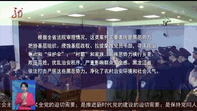 道台桥镇最新新闻与地方发展概览