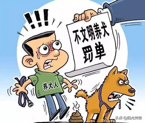 旌阳区公安局最新招聘概览